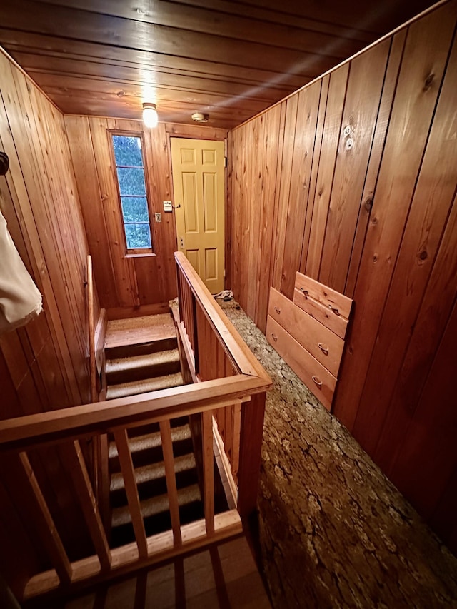 stairs with wooden walls and wood ceiling