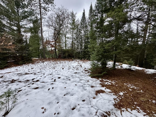 view of snowy landscape