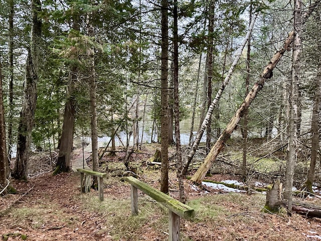 view of local wilderness with a view of trees