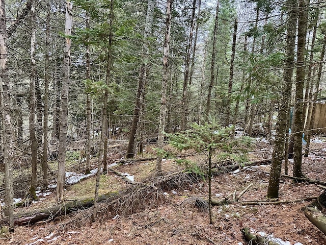 view of landscape featuring a view of trees