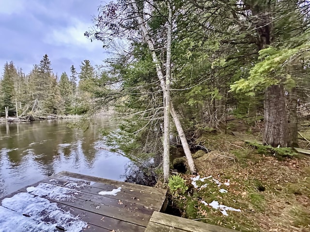 dock area with a forest view and a water view