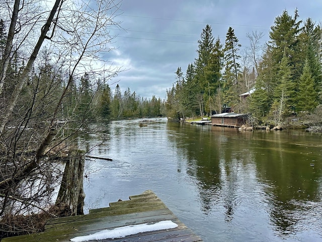 water view with a view of trees and a boat dock