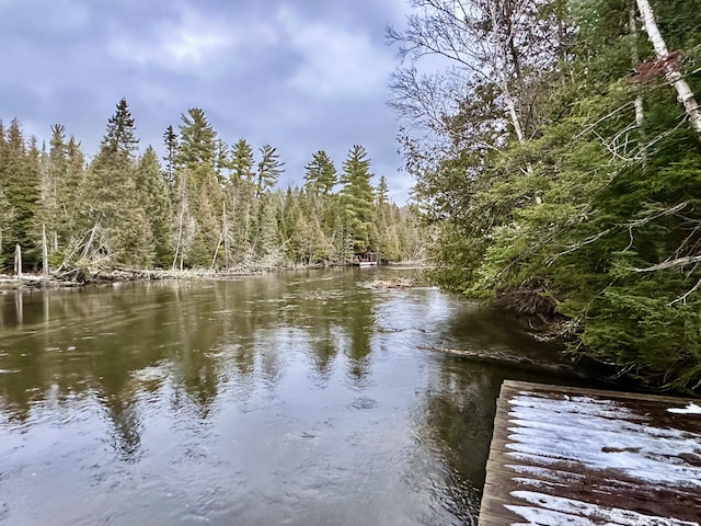 property view of water featuring a wooded view