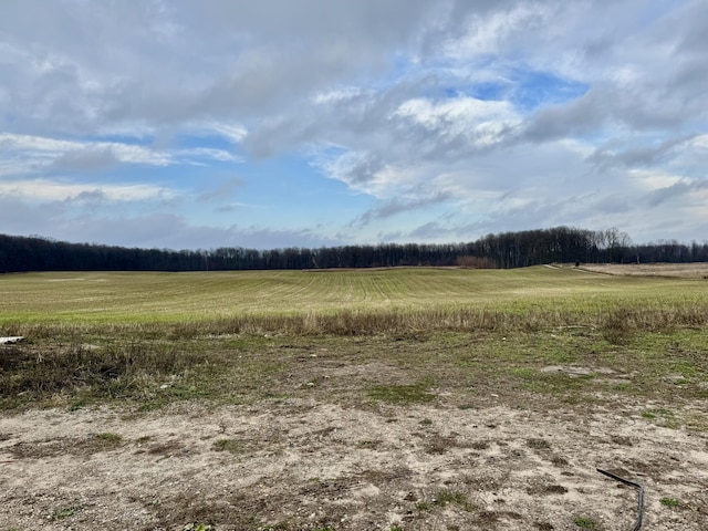 6522 Beckett Rd, Gaylord, MI 49735 - photo 30