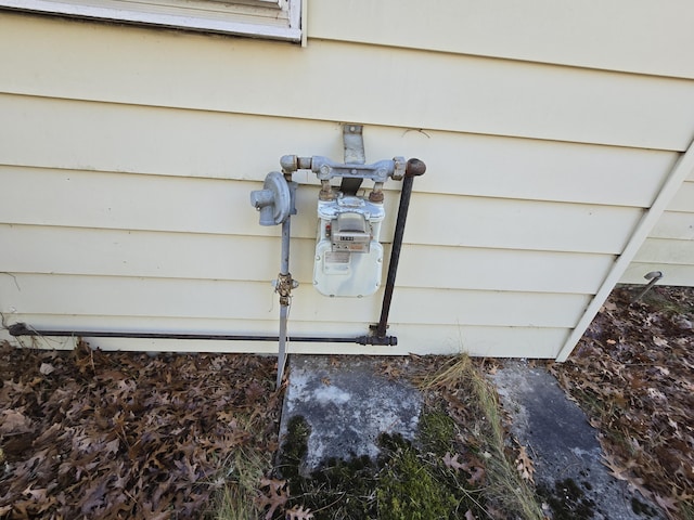 exterior details with gas meter