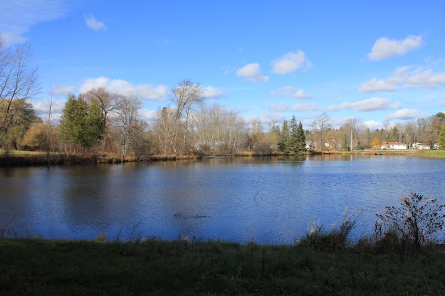 view of water feature