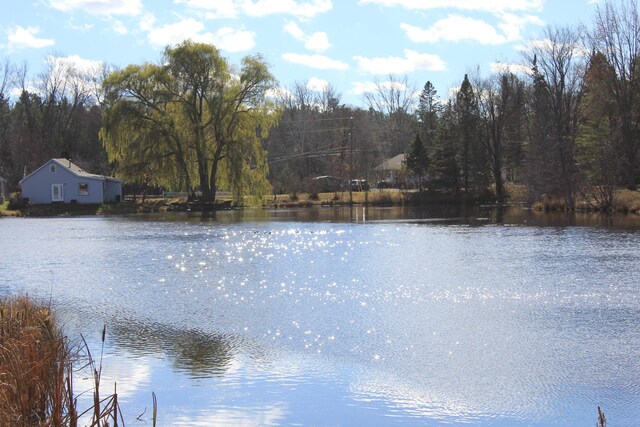 water view featuring a view of trees