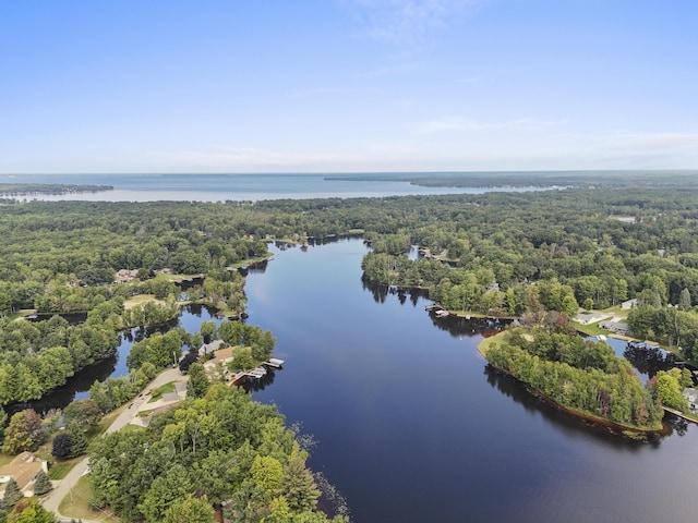 birds eye view of property featuring a forest view and a water view