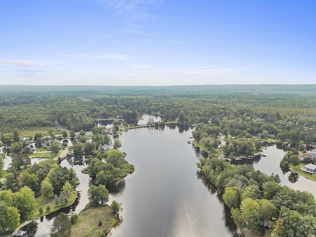 bird's eye view featuring a water view and a wooded view