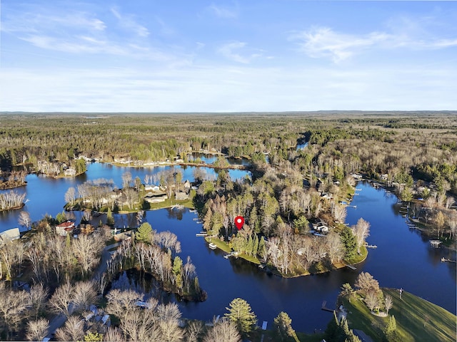 bird's eye view featuring a forest view and a water view