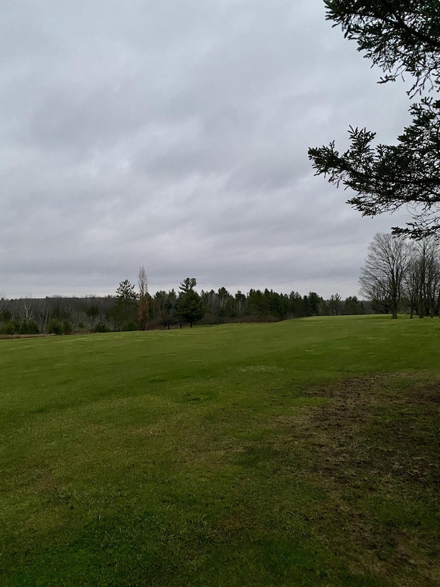 view of local wilderness