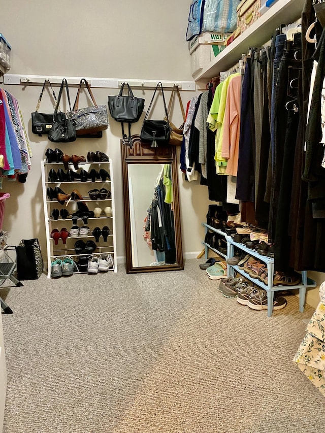 spacious closet with carpet floors