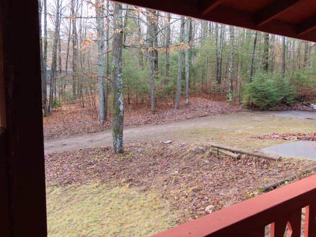 10290 Lakeview Dr, Atlanta, MI 49709 - photo 8