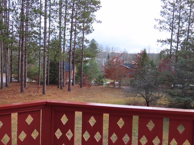 10290 Lakeview Dr, Atlanta, MI 49709 - photo 10