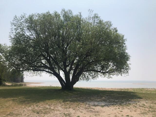 view of yard with a water view