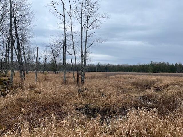 view of local wilderness featuring a rural view