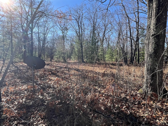 view of local wilderness with a wooded view