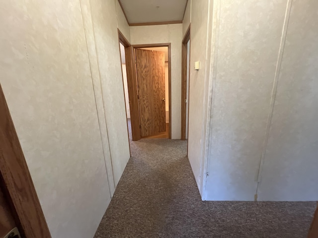 corridor with carpet floors