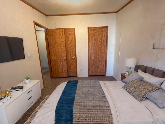 bedroom featuring two closets and ornamental molding