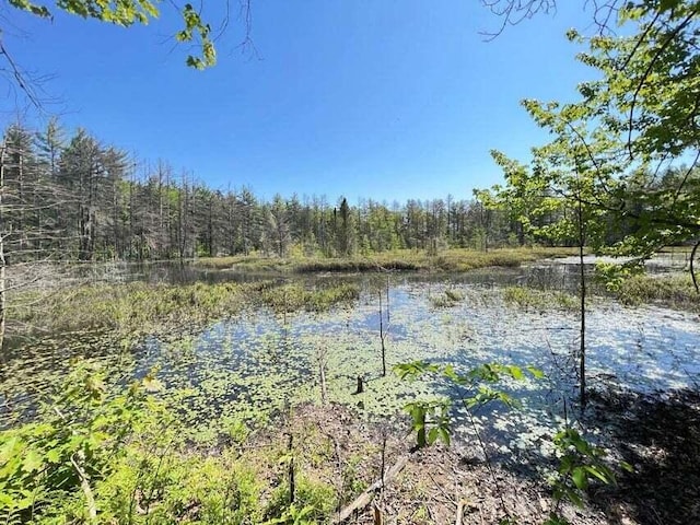 Carter Pavey Rd, Gaylord MI, 49735 land for sale