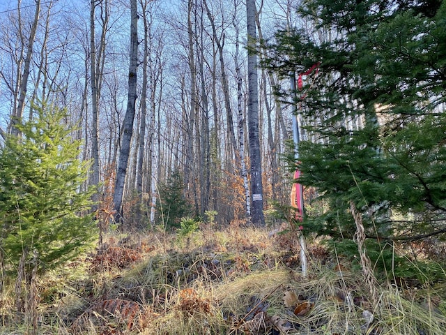 Lots36-39 Chemin De La Montagne, Wolverine MI, 49799 land for sale