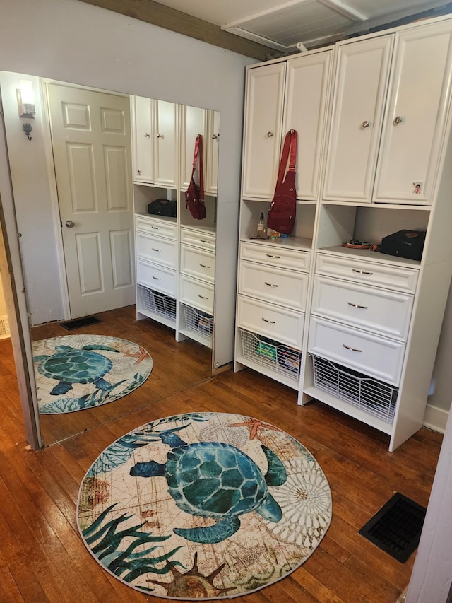 closet with visible vents