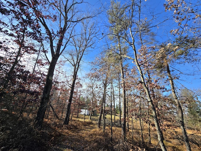 view of landscape