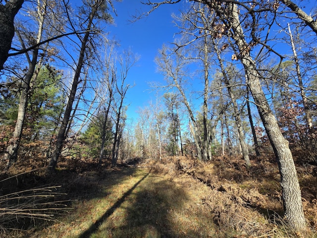 view of nature with a wooded view