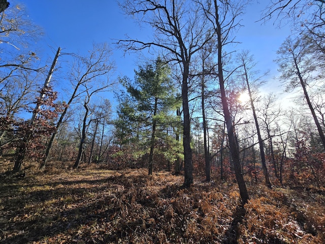 view of landscape