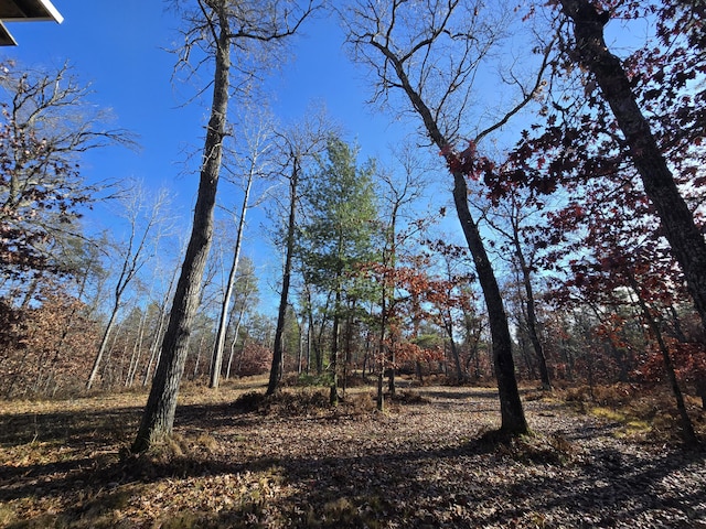 view of local wilderness