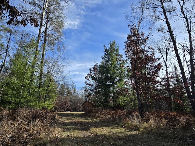 view of nature