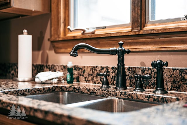 interior details featuring a sink