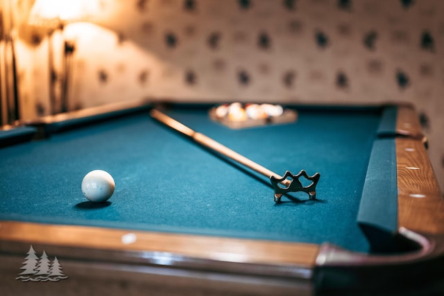 details featuring pool table