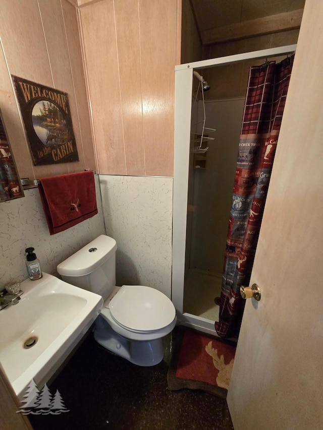 full bathroom with toilet, a stall shower, and a sink