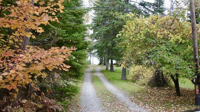 view of road