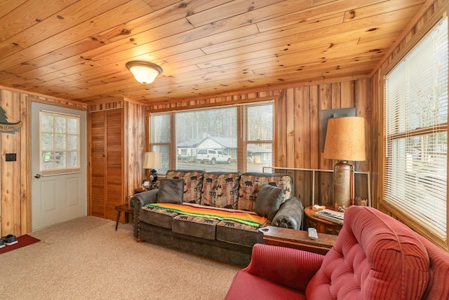 carpeted living area with wooden ceiling and wood walls