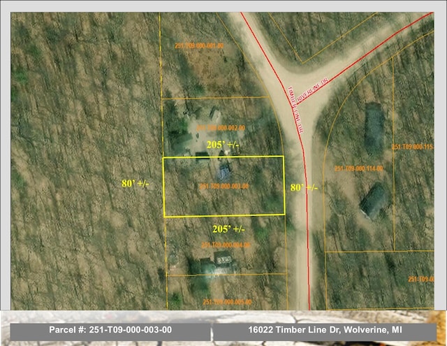 Listing photo 2 for 16022 Timber Line Dr, Wolverine MI 49799