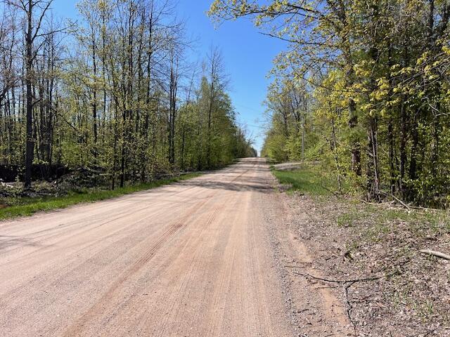 16022 Timber Line Dr, Wolverine, MI 49799