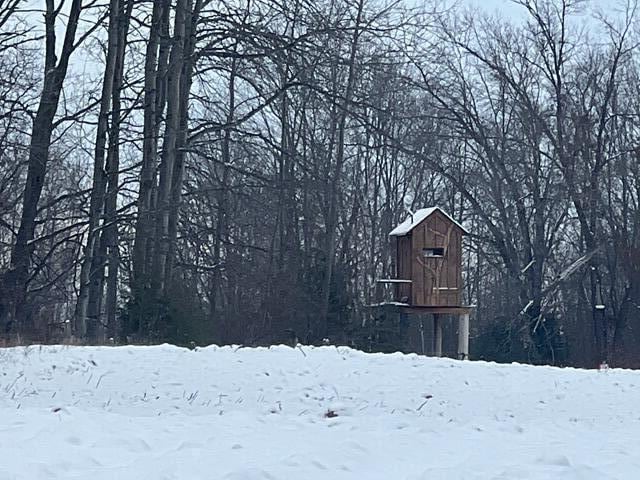 snowy yard with a barn, an outbuilding, and a forest view