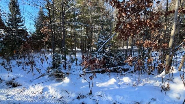 view of snow covered land