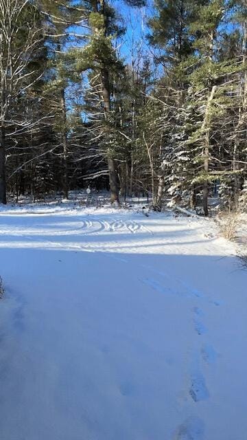 view of yard layered in snow