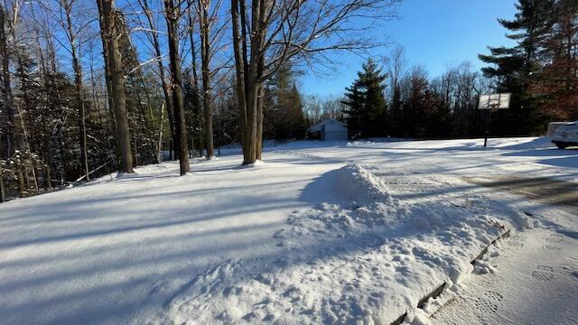 view of yard layered in snow