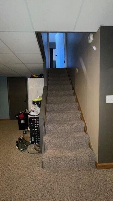 staircase featuring carpet flooring and a paneled ceiling