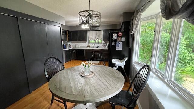 10080 Birch Hill Dr, Atlanta, MI 49709 - photo 14
