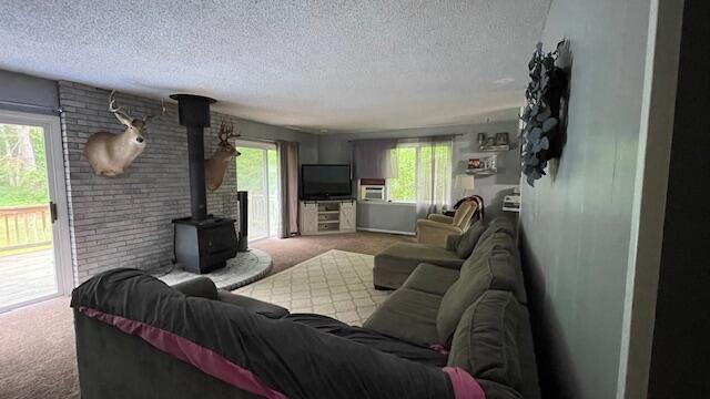10080 Birch Hill Dr, Atlanta, MI 49709 - photo 18