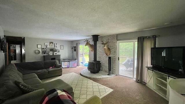 10080 Birch Hill Dr, Atlanta, MI 49709 - photo 20