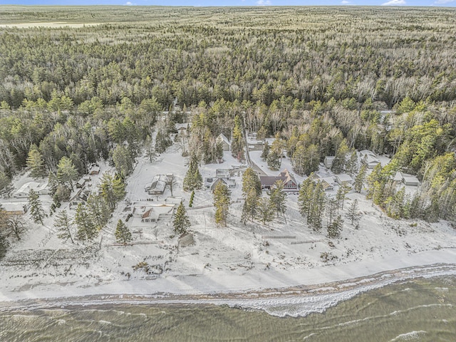 drone / aerial view with a forest view