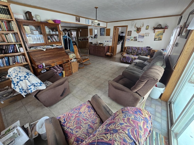 living area featuring crown molding