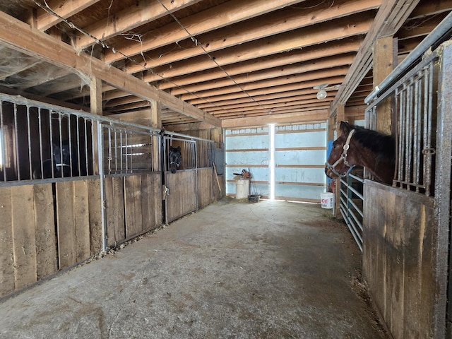 view of horse barn