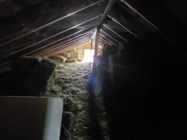 view of attic